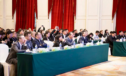 pa视讯集团党委“书记带项目”工作阶段性进展汇报会成功召开